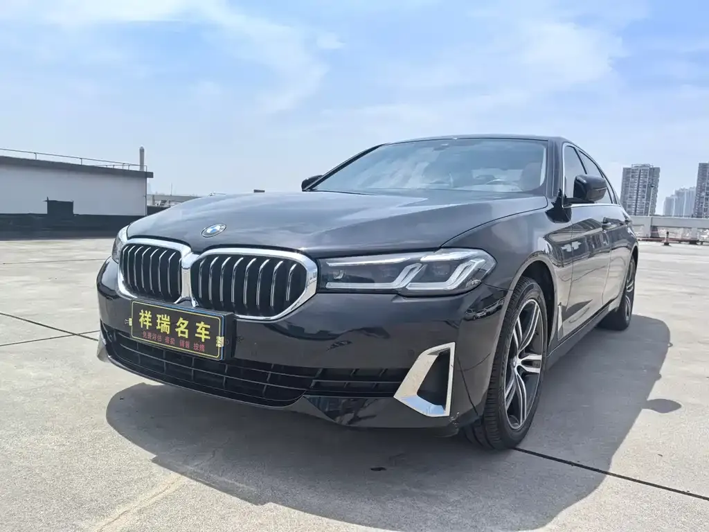BMW 5 Series 2021 из CN, фото 1