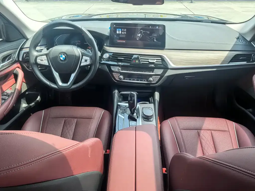 BMW 5 Series 2021 из CN, фото 10