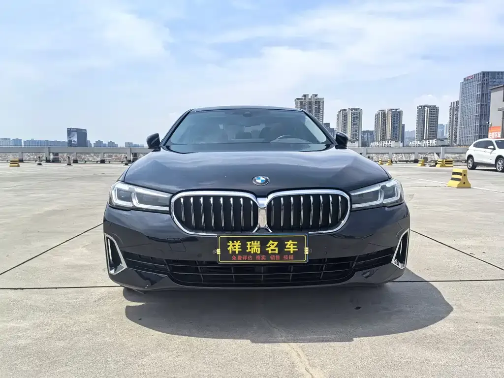 BMW 5 Series 2021 из CN, фото 2