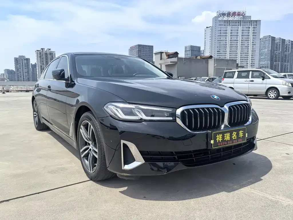 BMW 5 Series 2021 из CN, фото 3