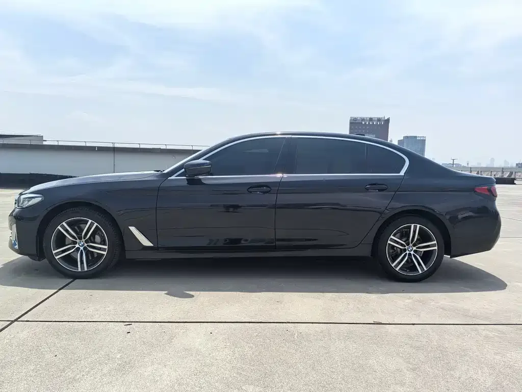 BMW 5 Series 2021 из CN, фото 4