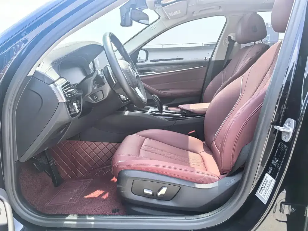 BMW 5 Series 2021 из CN, фото 6