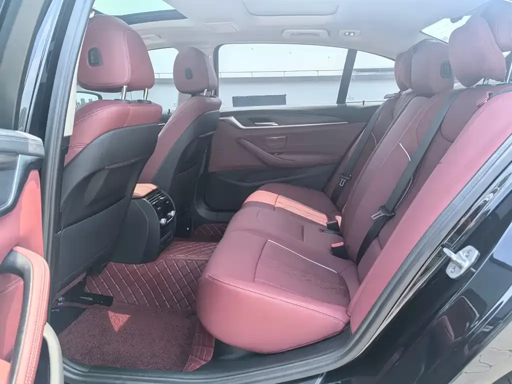 BMW 5 Series 2021 из CN, фото 7