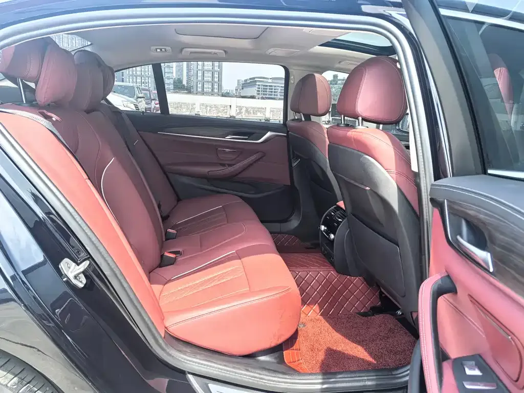 BMW 5 Series 2021 из CN, фото 8