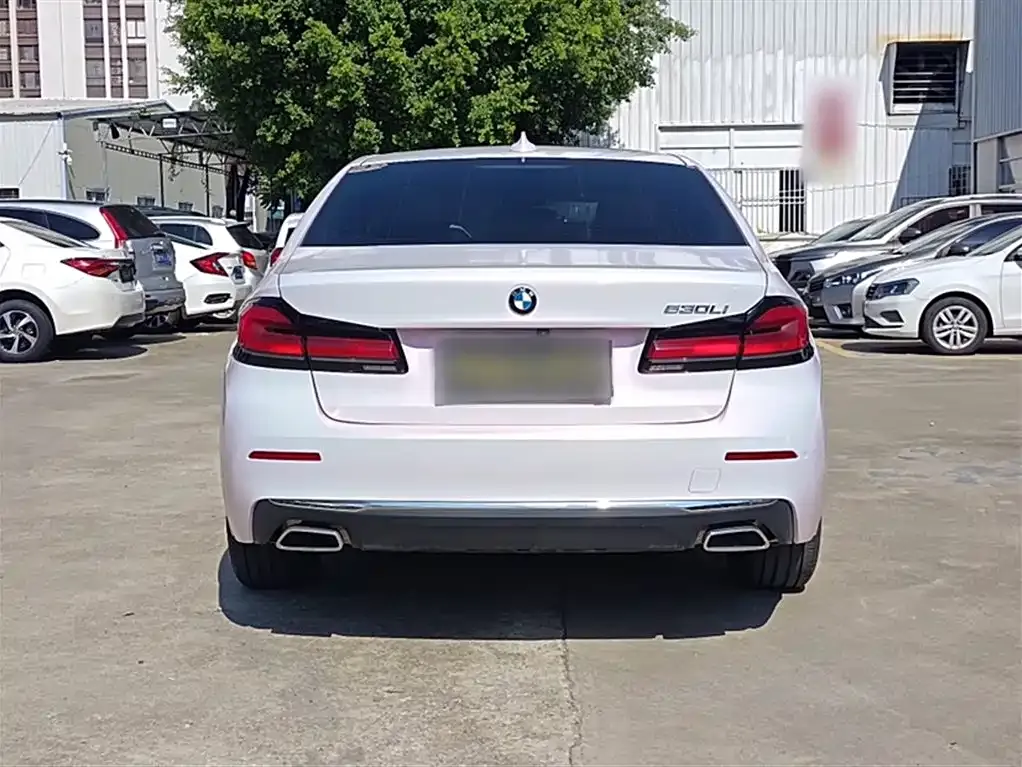 BMW 5 Series 2021 из CN, фото 10