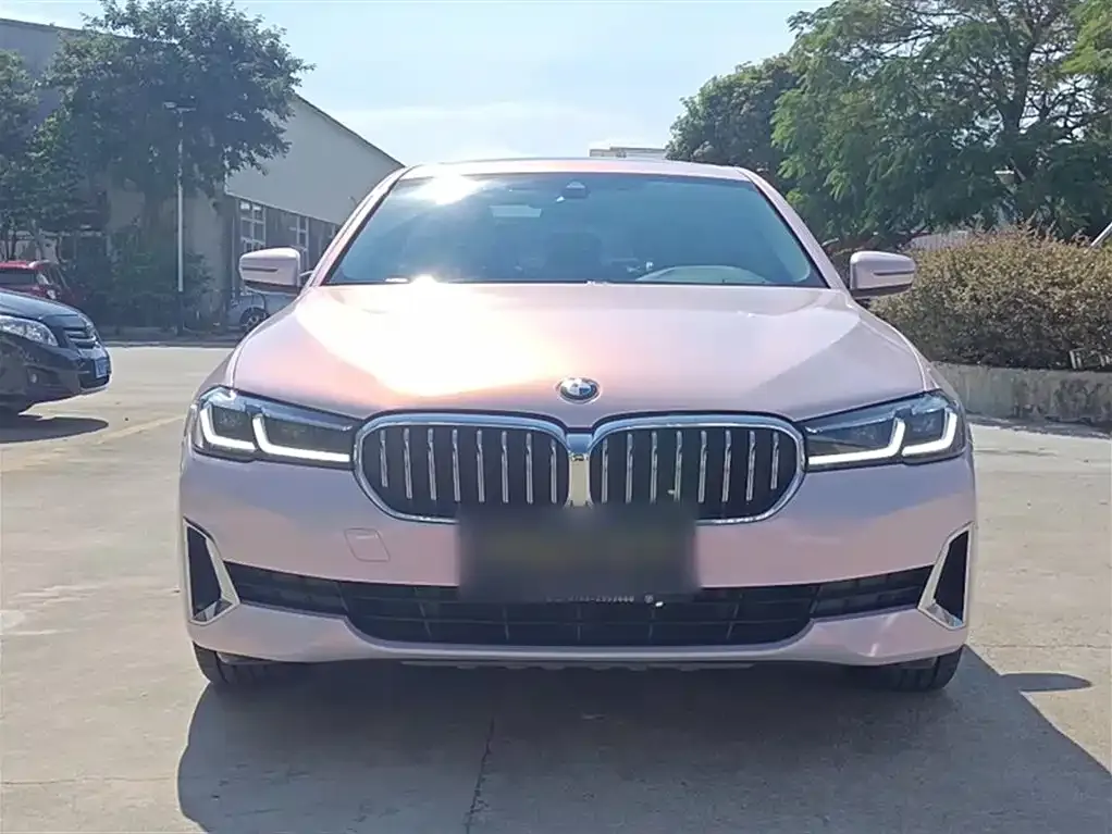 BMW 5 Series 2021 из CN, фото 6
