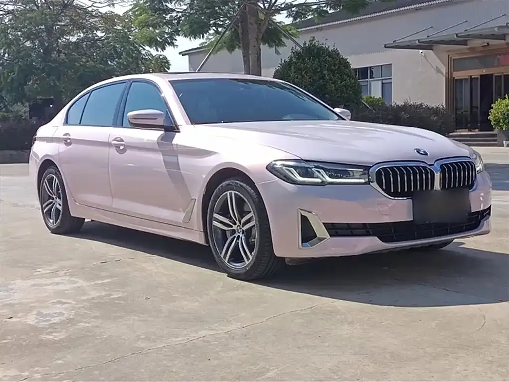 BMW 5 Series 2021 из CN, фото 7