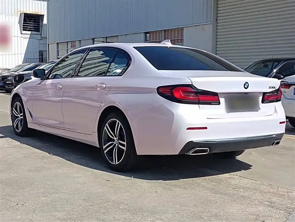 BMW 5 Series 2021 из CN, фото 9