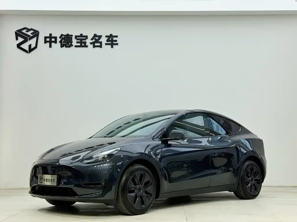 Tesla Model Y — фото 1
