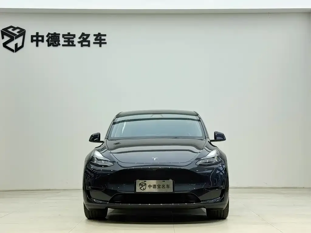 Tesla Model Y — фото 2