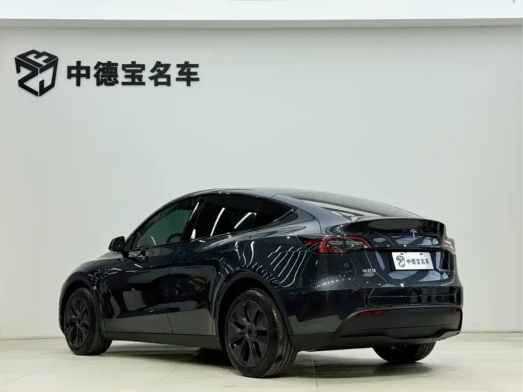 Tesla Model Y — фото 4