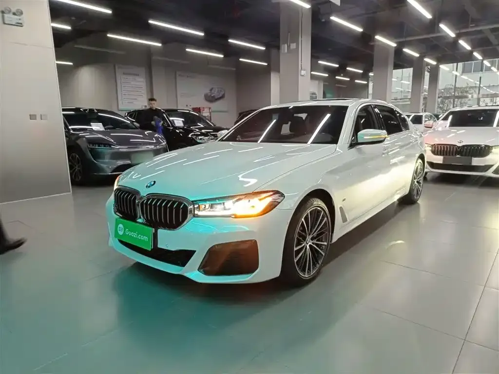 BMW 5 Series 2022 из CN, фото 1