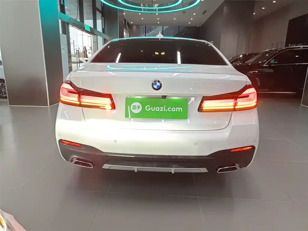 BMW 5 Series 2022 из CN, фото 6