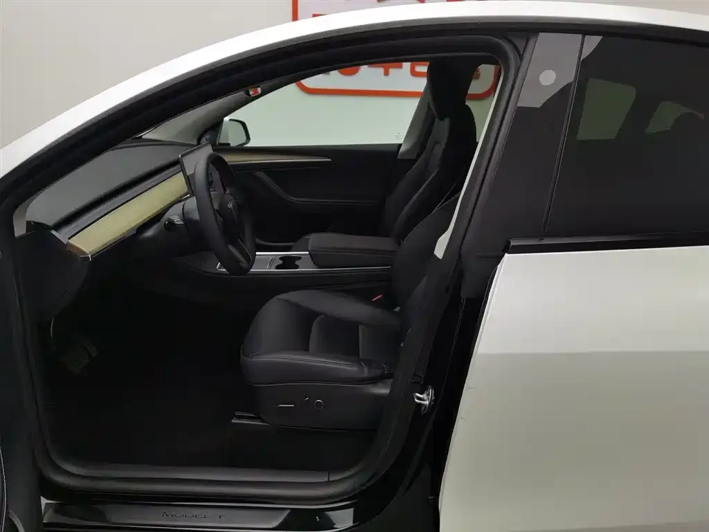 Tesla Model Y — фото 10