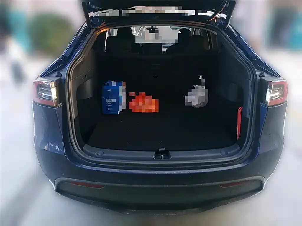 [object Object] Model Y 2021 из CN, фото 10