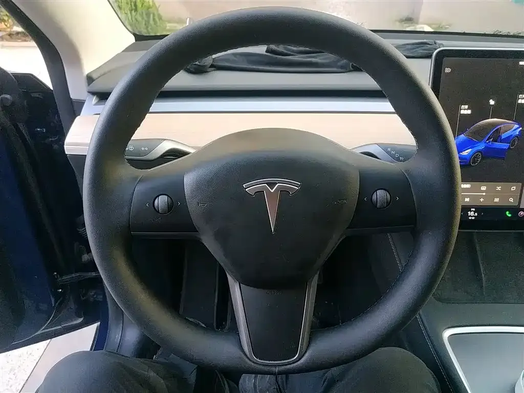 [object Object] Model Y 2021 из CN, фото 3