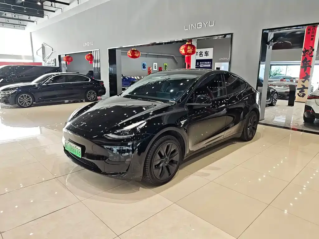 Tesla Model Y — фото 2