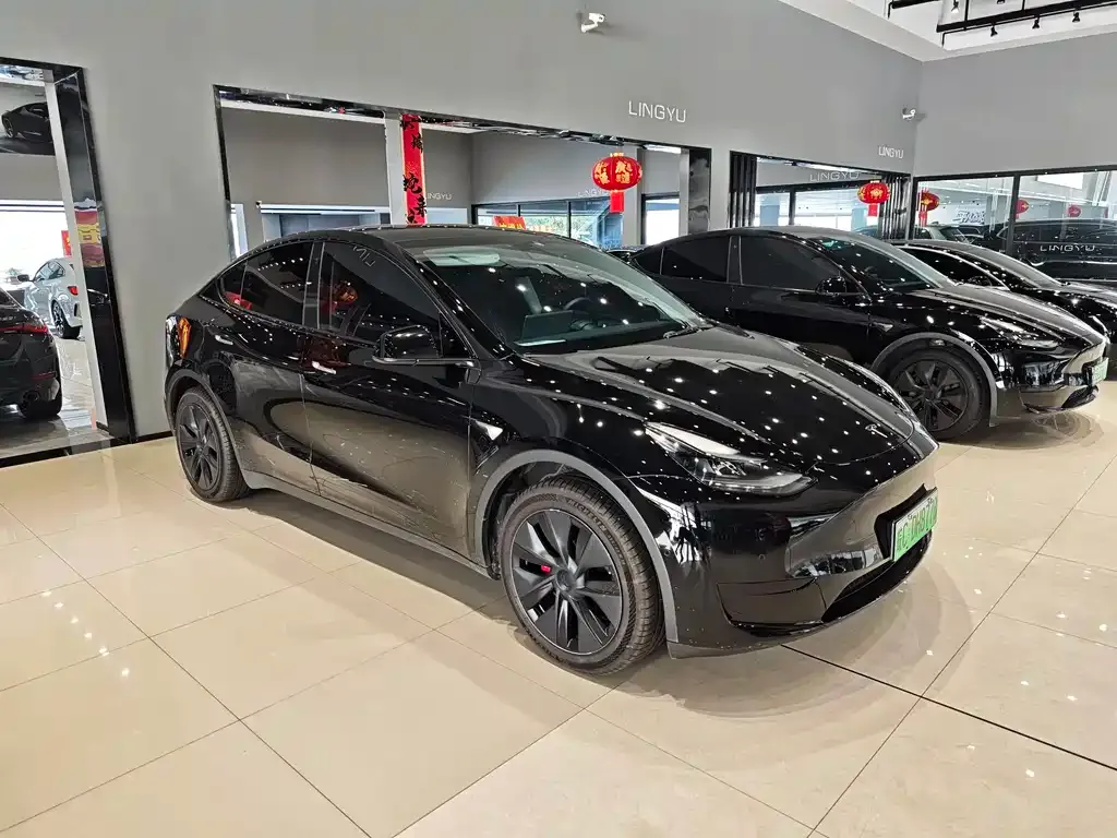 Tesla Model Y — фото 3