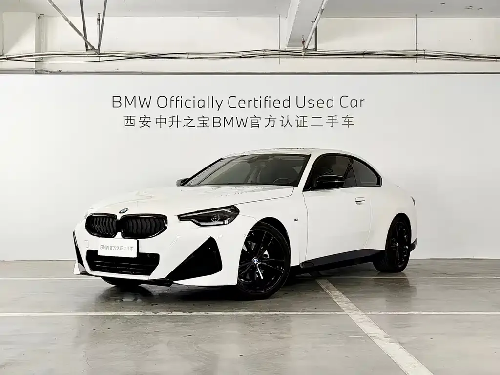 BMW 2 Series (Import) 2023 из CN, фото 1