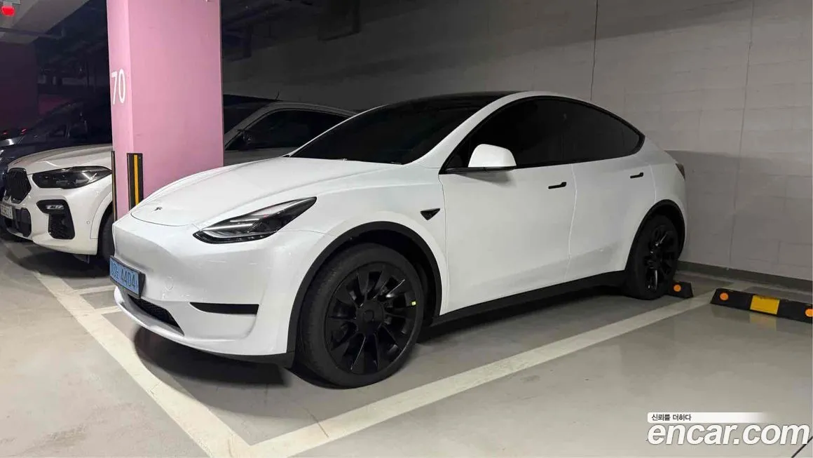 Tesla Model Y — фото 1