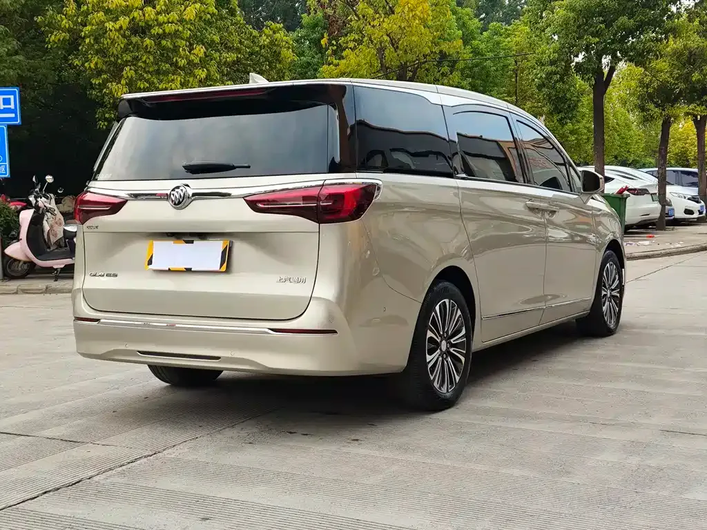 Buick GL8 2021 из CN, фото 6
