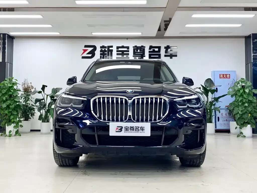 BMW X5 (Import) 2022 из CN, фото 2