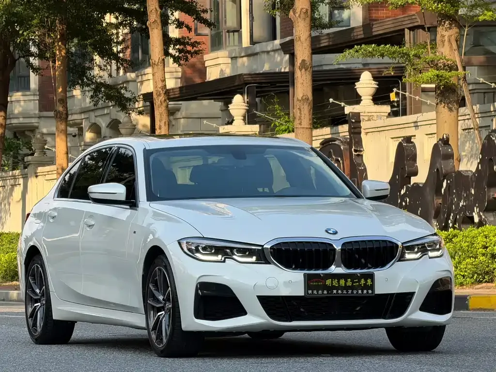 BMW 3 Series 2021 из CN, фото 3
