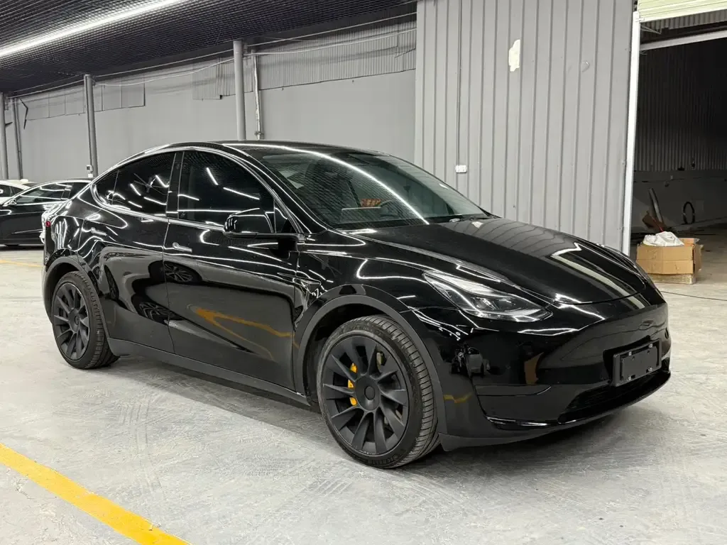 Tesla Model Y — фото 3