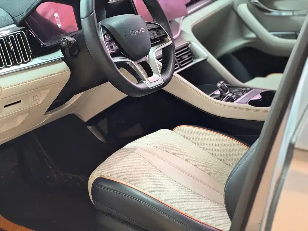 BYD PLUS New Energy — фото 4