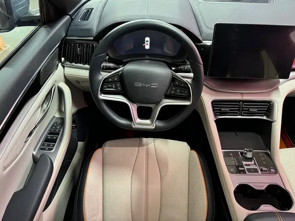 BYD PLUS New Energy — фото 6
