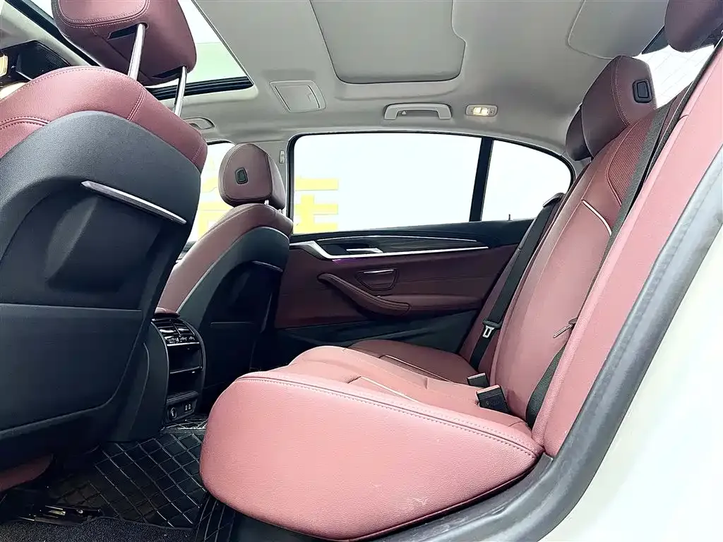 BMW 5 Series 2021 из CN, фото 10