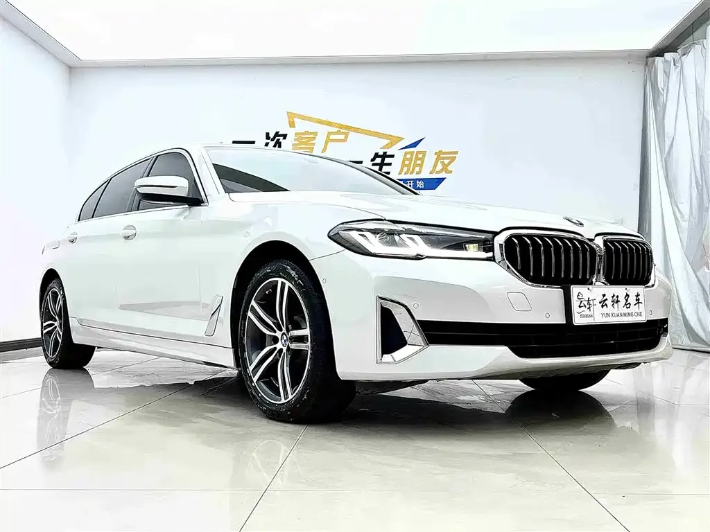BMW 5 Series 2021 из CN, фото 3