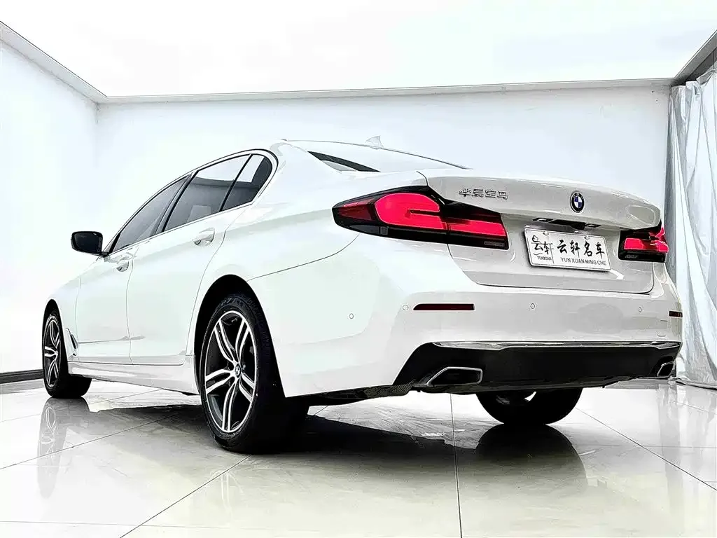 BMW 5 Series 2021 из CN, фото 4