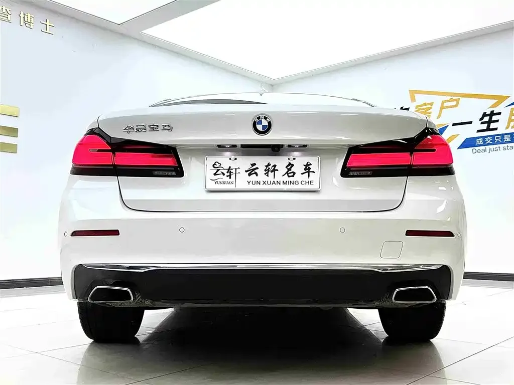 BMW 5 Series 2021 из CN, фото 5
