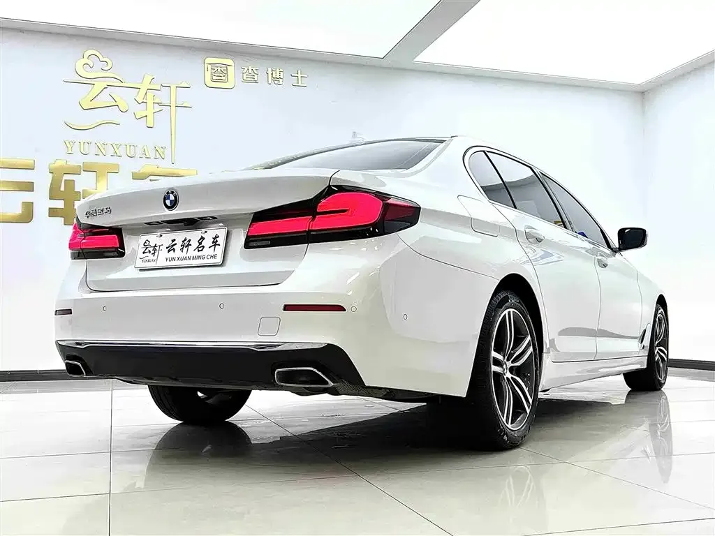 BMW 5 Series 2021 из CN, фото 6