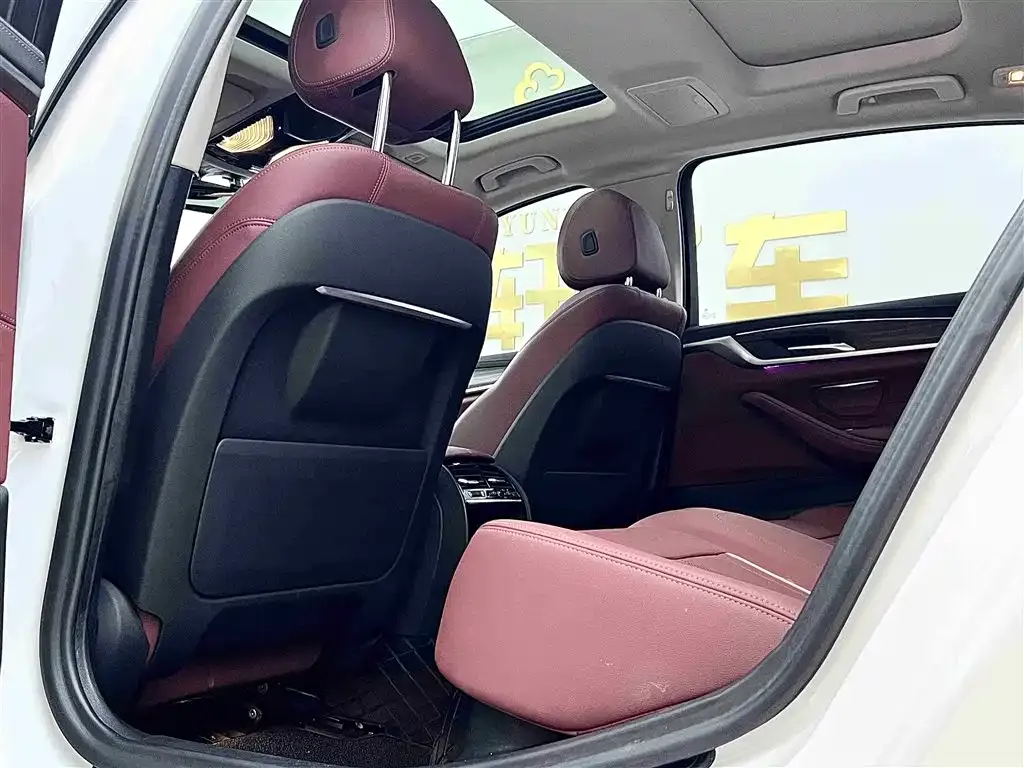 BMW 5 Series 2021 из CN, фото 9