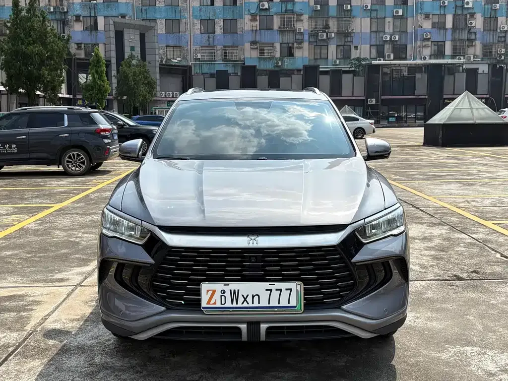 BYD Pro New Energy 2024 из CN, фото 2