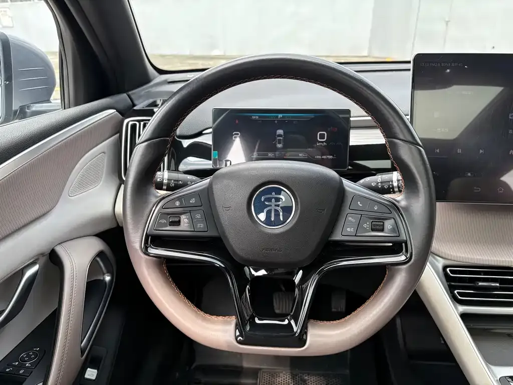 BYD Pro New Energy 2024 из CN, фото 6