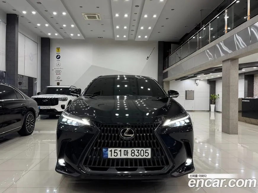 Lexus NX 2024 из KR, фото 3