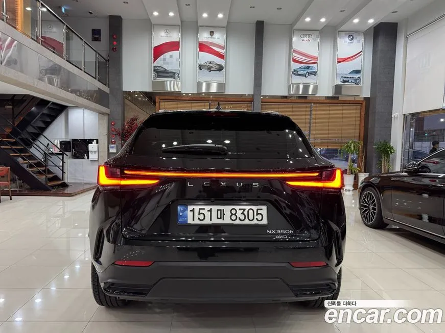 Lexus NX 2024 из KR, фото 4