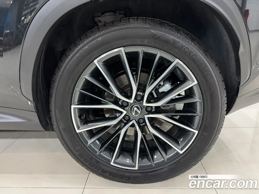 Lexus NX 2024 из KR, фото 5