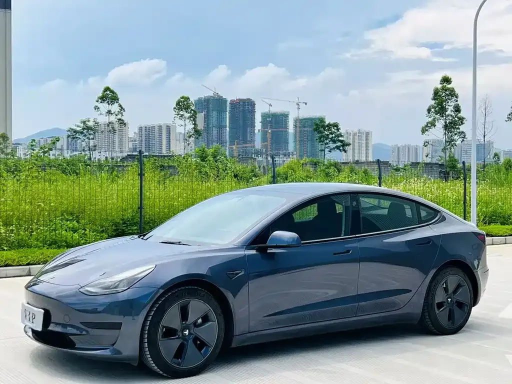 Tesla Model 3 2021 из CN, фото 1
