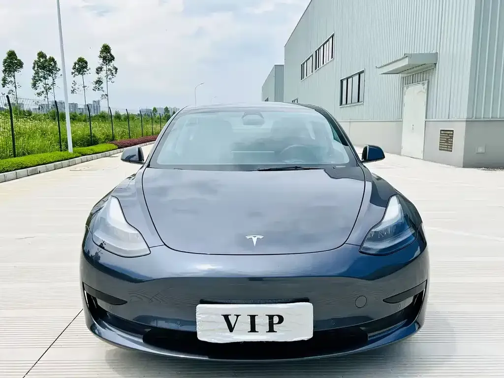 Tesla Model 3 2021 из CN, фото 2