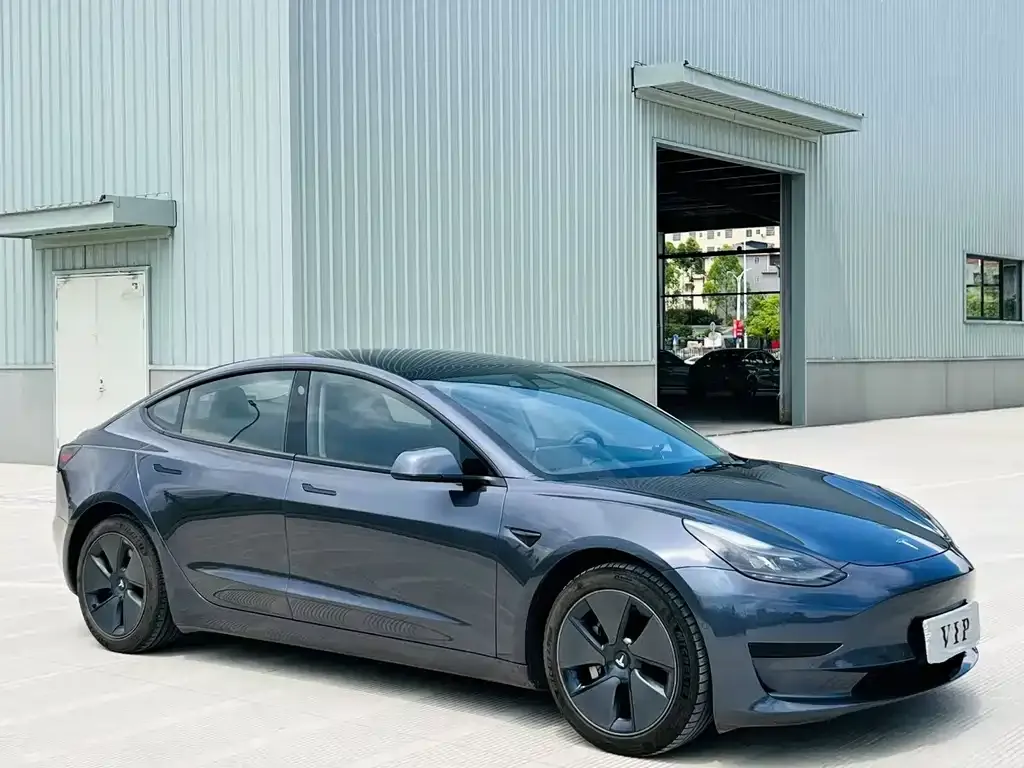 Tesla Model 3 2021 из CN, фото 3