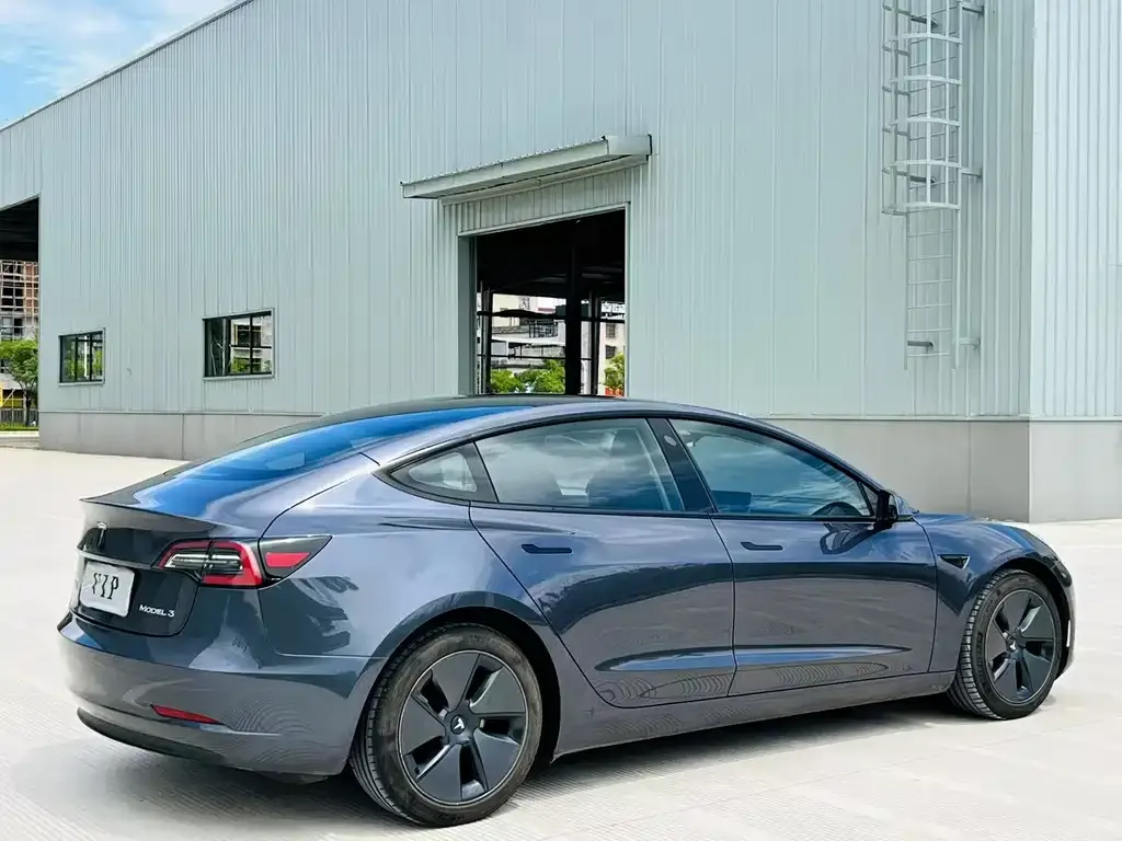 Tesla Model 3 2021 из CN, фото 4