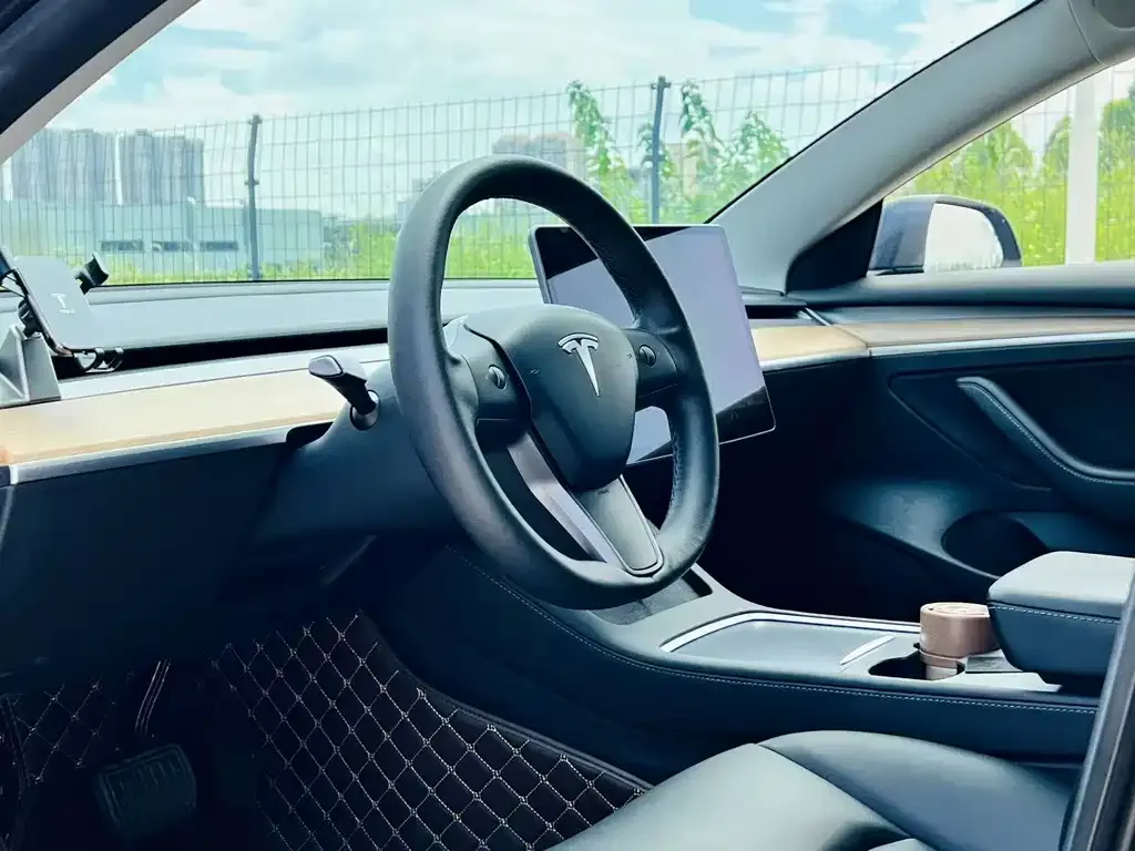 Tesla Model 3 2021 из CN, фото 5