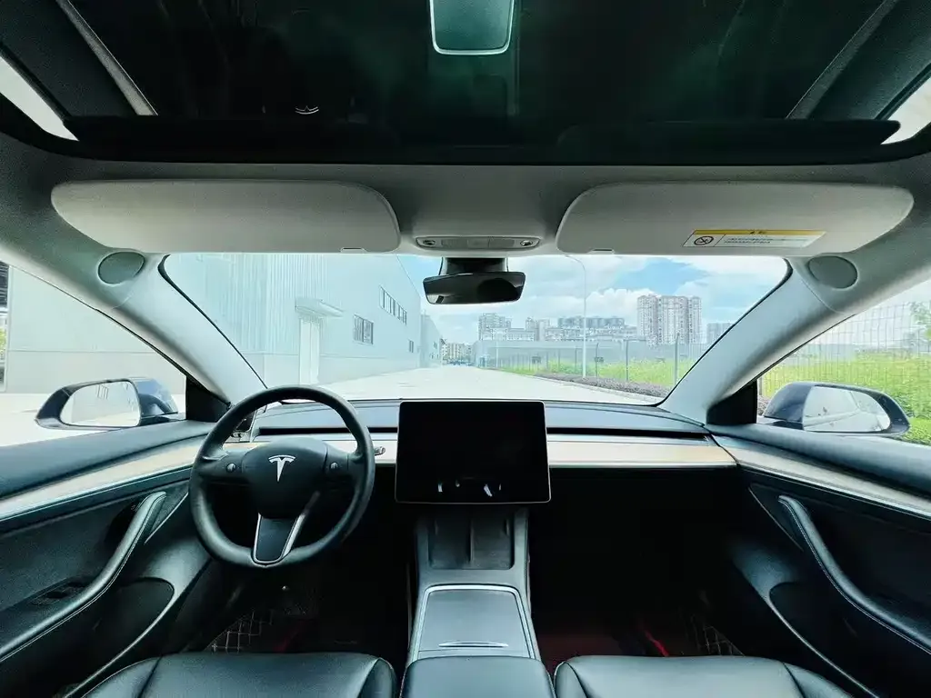 Tesla Model 3 2021 из CN, фото 6