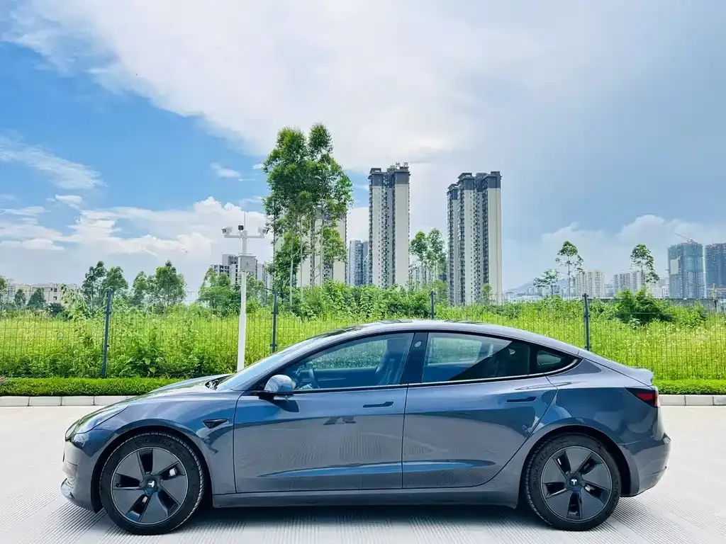 Tesla Model 3 2021 из CN, фото 7