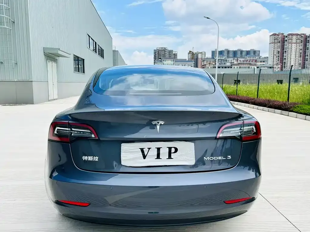 Tesla Model 3 2021 из CN, фото 8