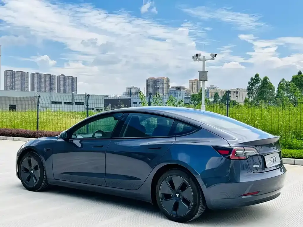 Tesla Model 3 2021 из CN, фото 9